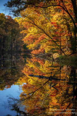 Late fall colors, reflections 4