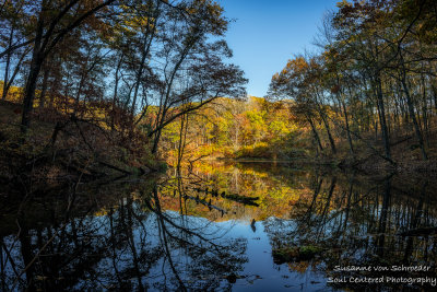 Late fall colors, reflections 5