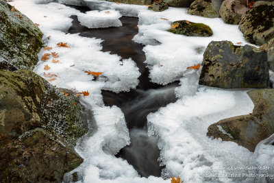 Frozen creek, along the edges