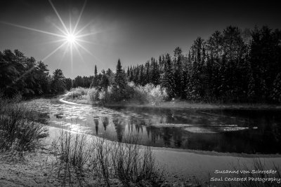 Sunny winter day in black and white