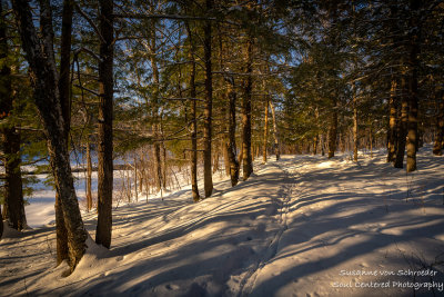 Snowy path along the Flambeau river