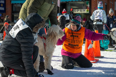 Barkie Birkie in Hayward, Wisconsin 2