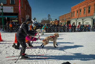 Barkie Birkie in Hayward, Wisconsin 4