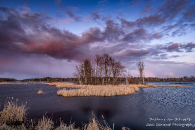 A windy sunset 4