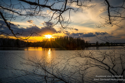 Sunset framed by trees