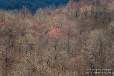 View from Juniper Rock overlook 2