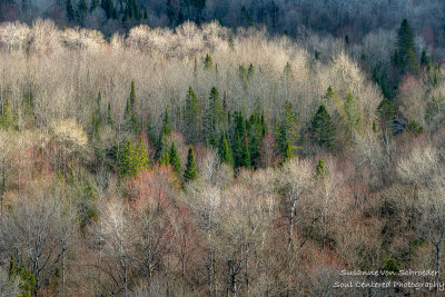 View from Juniper Rock overlook 6