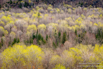 View from Juniper Rock overlook 2, mid May