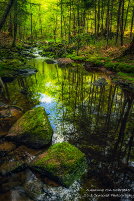 Creek with reflections, Blue Hills, Wisconsin