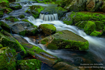 Creek in the Blue Hills, Wisconsin, close-up