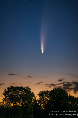 Comet Neowise in the Blue Hills, Wisconsin 1