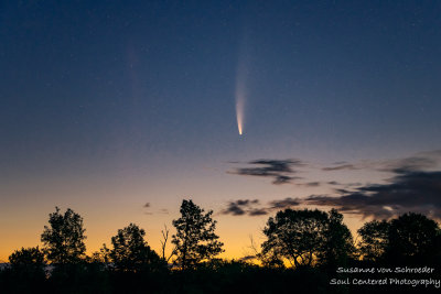 Comet Neowise in the Blue Hills, Wisconsin 2