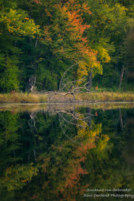 Early fall colors at Perch Lake 1