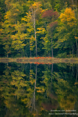 Early fall colors at Perch Lake 2