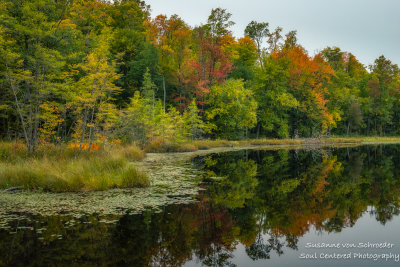Early fall colors at Perch Lake 3