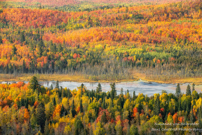 Fall colors in the north country