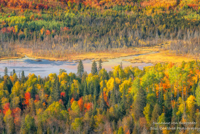Fall colors in the north country 3