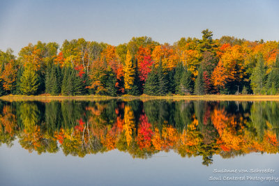 Perfect autumn reflections