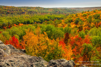 Brilliant fall colors - Juniper Rock 2