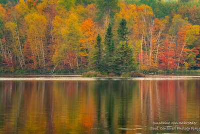 Fall colors - reflections at Audie Lake