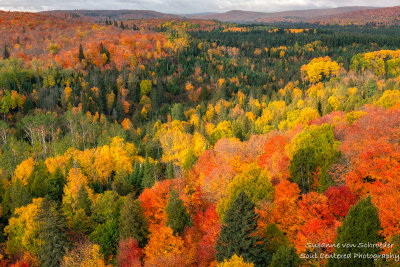Fall colors - view from the Oberg Mountain loop