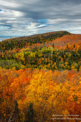 Fall colors - view from the Oberg Mountain loop 3
