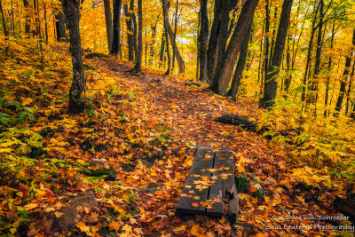 Autumn hike -  Oberg Mountain loop, board walk 2