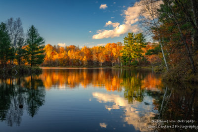 Reflections at Bucks Lake