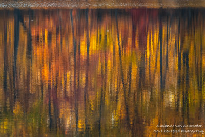 Late fall colors, reflections 1