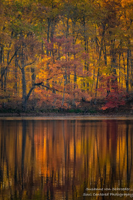 Late fall colors, reflections 2