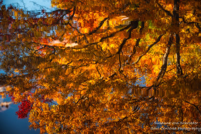 Late fall colors, reflections 3