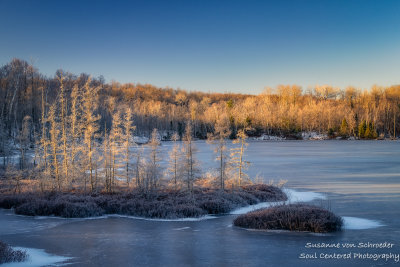 Frosty morning at Audie Lake, WI