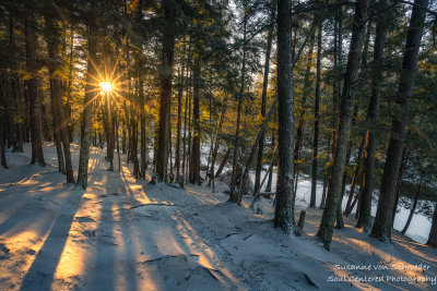 Sunburst in forest along the Flambeau river