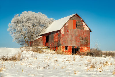 Red barn with rime frost, Wisconsin