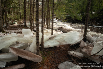 Ice chunks along the Tyler Fork river