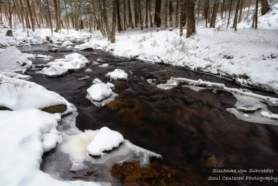 Creek with the last of the snow 1