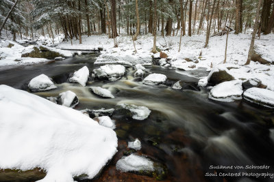 Creek with the last of the snow 6