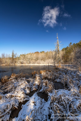 Spring snow, Blue Hills 1