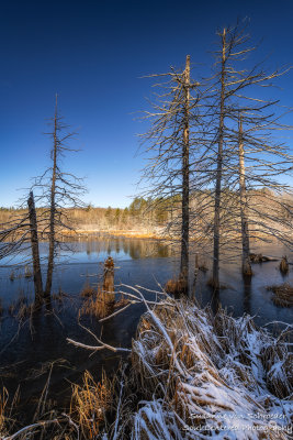 Spring snow, Blue Hills 3