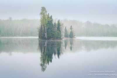 Foggy morning scene, Audie Lake 1