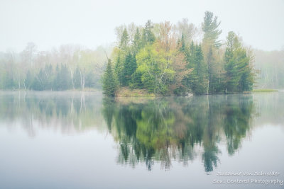 Foggy morning scene, Audie Lake 2