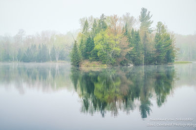 Foggy morning scene, Audie Lake 2