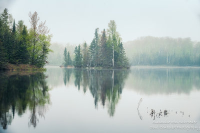 Foggy morning scene, Audie Lake 3