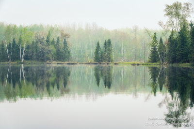Foggy morning scene, Audie Lake 4