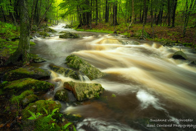 Creek after rainfall 1