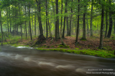 Creek after rainfall 4