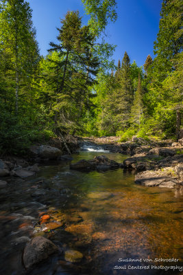The Caribou River 1