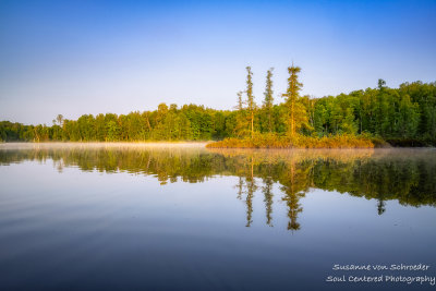 A bog on Audie Lake