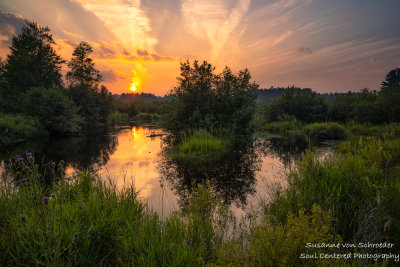 Summer sunset at a creek