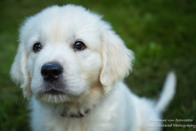 Shanti is growing up fast